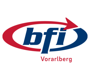 bfi Moodle